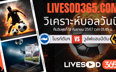 ทีเด็ดวิเคราะห์บอลประจำวันพุธ คาราบาวคัพ อังกฤษ ไบรท์ตันฯ -vs- วูล์ฟแฮมป์ตัน