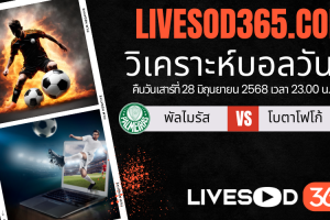 ทีเด็ดวิเคราะห์บอลประจำวันเสาร์ ชิงแชมป์สโมสรโลก พัลไมรัส -vs- โบตาโฟโก้
