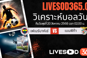 ทีเด็ดวิเคราะห์บอลประจำวันพุธ ยูฟ่า แชมเปี้ยนส์ ลีก เฟเนร์บาห์เช่ -vs- เบนฟิก้า